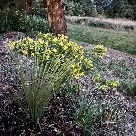 Maison Au Jude Holiday home
