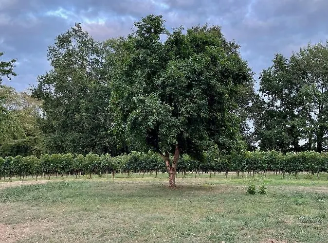 Maison Au Jude Σπίτι διακοπών