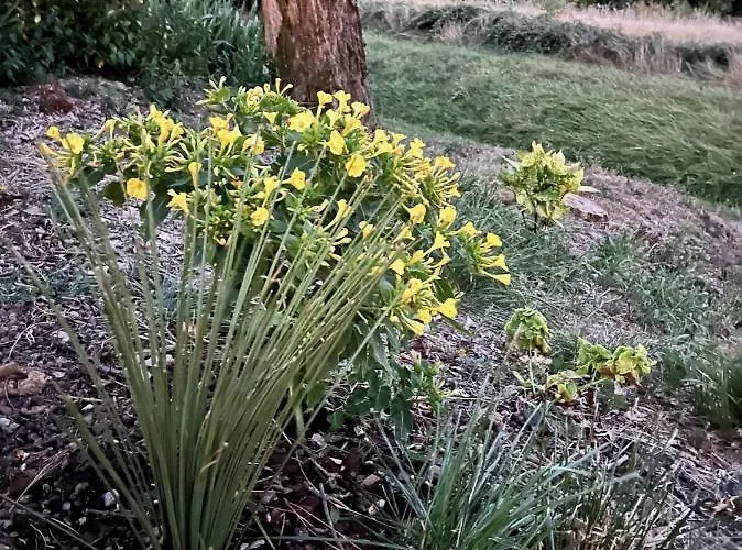 Maison Au Jude Σπίτι διακοπών